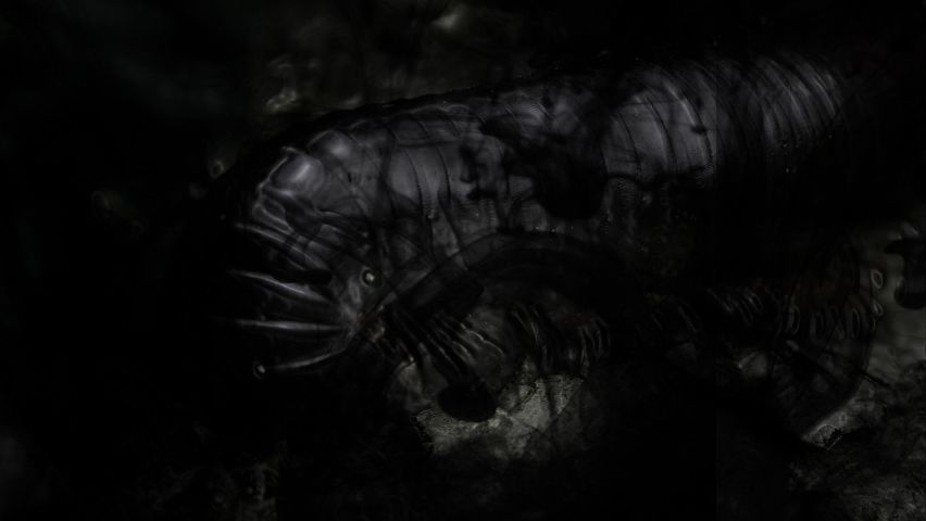 Dead Capital – Session 6: das Nest