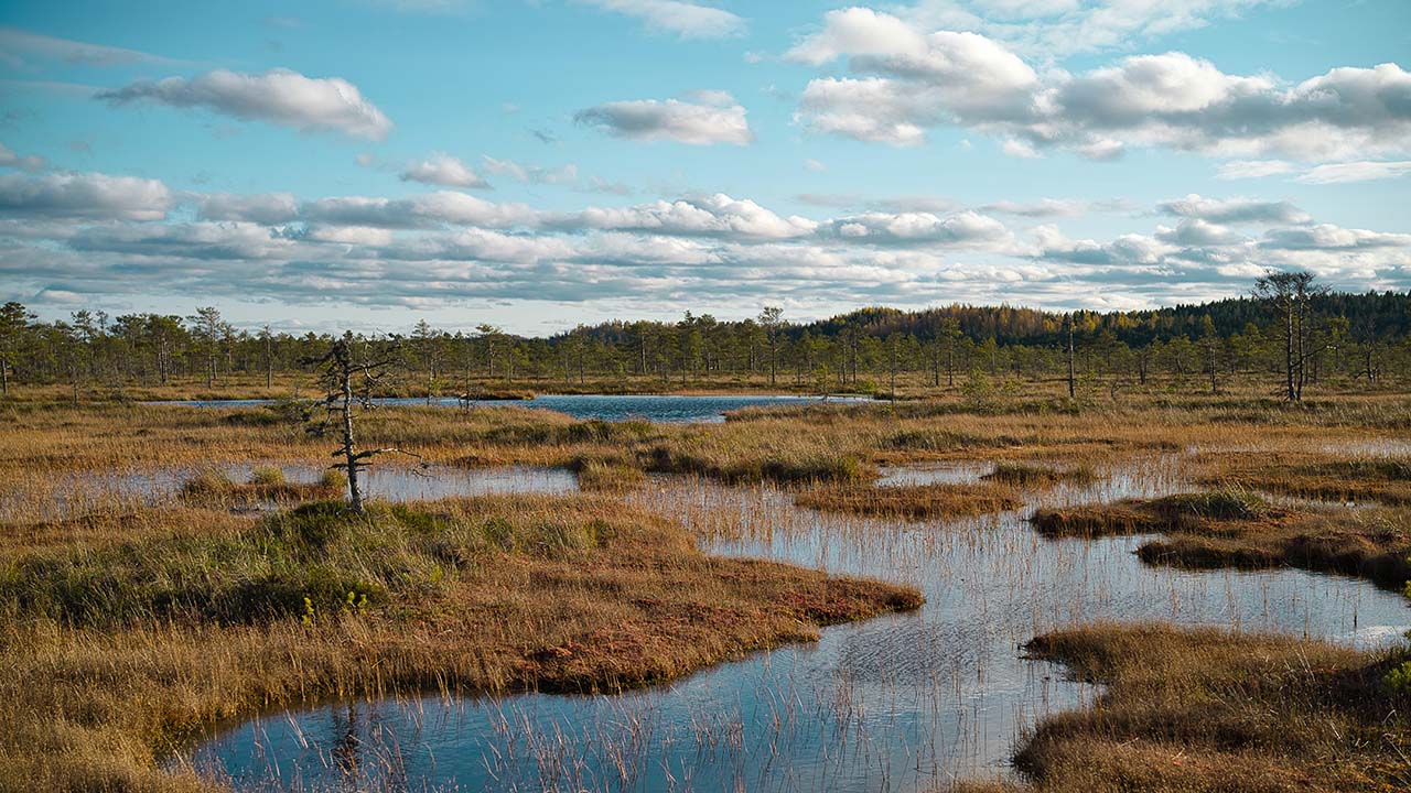 Dead Capital – Session 24: Auf Wiedersehen in Heany