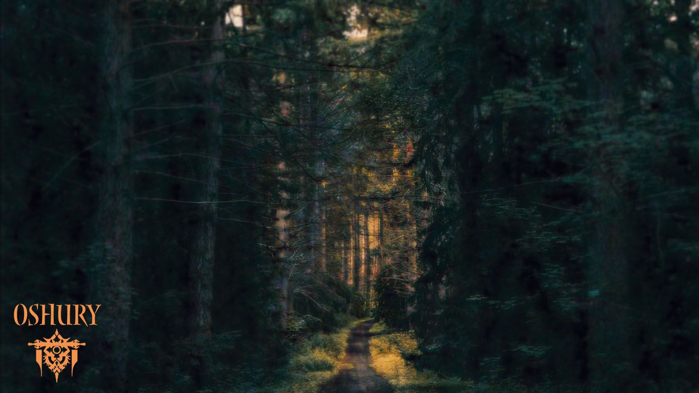 Oshury – Session 2: Bunte Vögel im Neuntöterwald