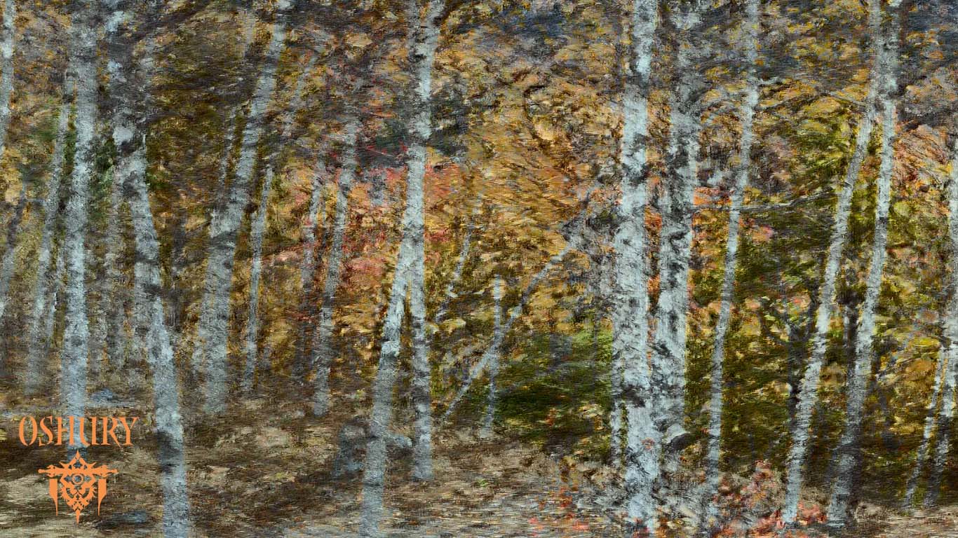 Oshury – 02 - 05: Geistergeschichten