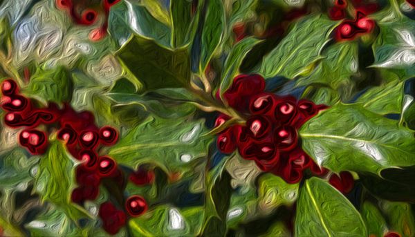 Stechpalmen & Rituale