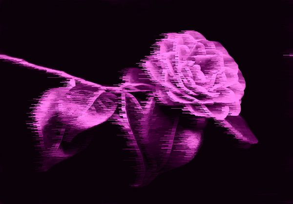 Die Mitternachtsblume – E01