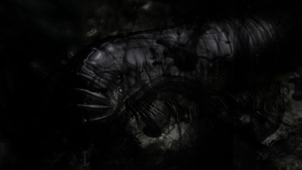 Dead Capital – Session 6: das Nest