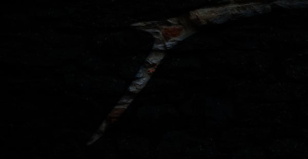 Dead Capital – Session 19: Animalisch