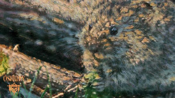 Oshury – 02 - 12: Mäuse und Fallen